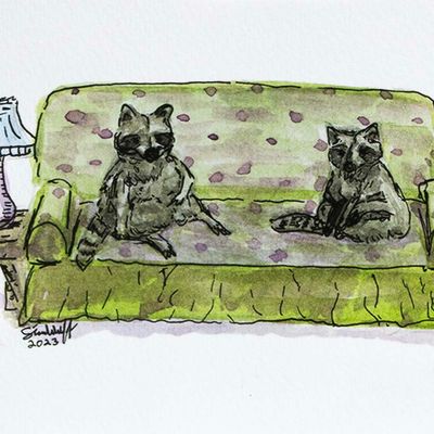Racoons, print WOOD29