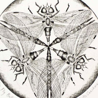 Fly Ball, intaglio etching COAE016