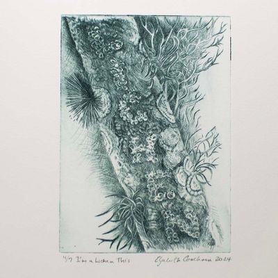 I'm a Lichen This, intaglio etching COAE018