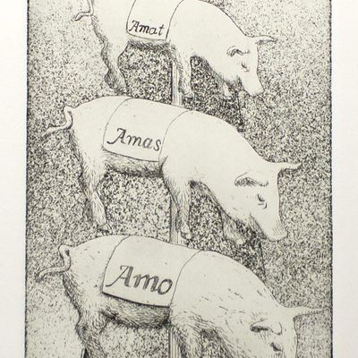 Pig Latin, intaglio etching COAE019