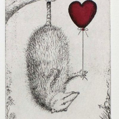 Valentine Possum, etching COAE027