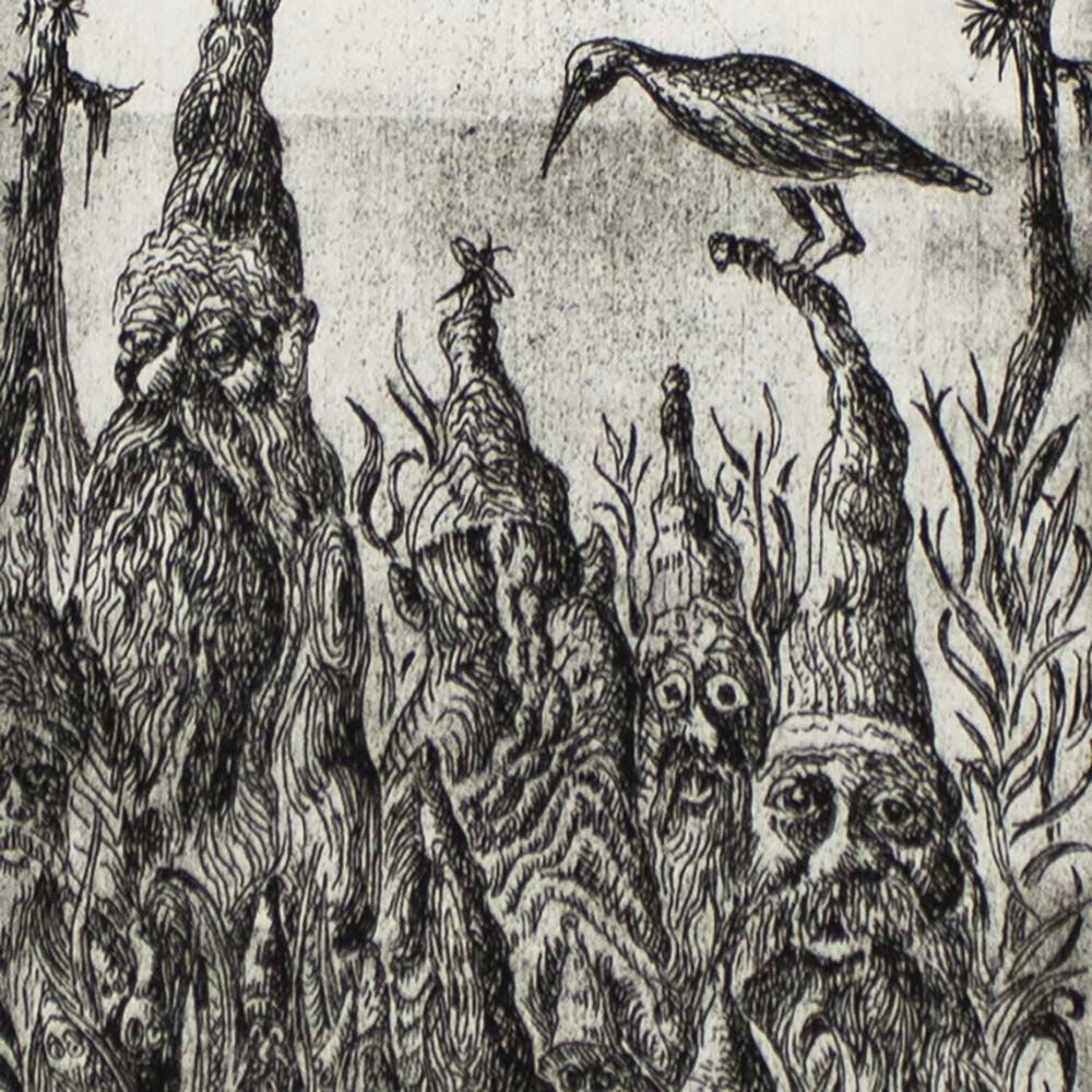 Cypress Gnomes, etching/aquatint COAE029