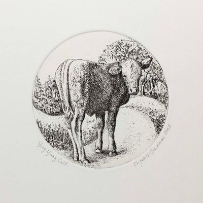 Ying Yang Calf, etching COAE032