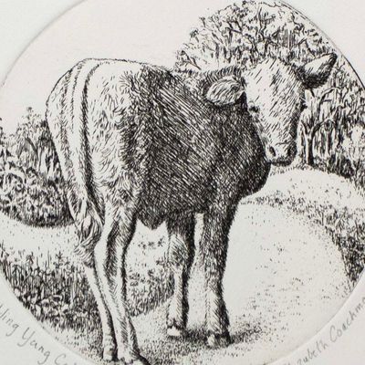 Ying Yang Calf, etching COAE032