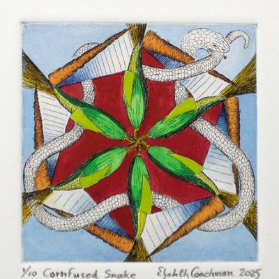 Cornfused Snake, etching COAE035