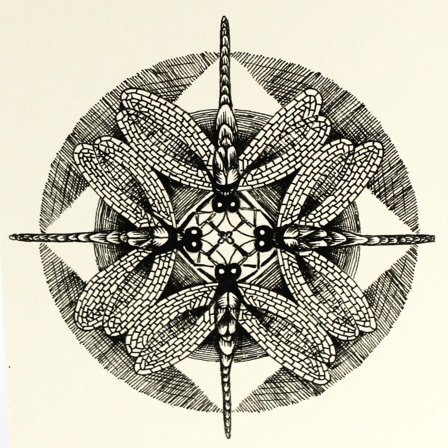 Dragonfly Mandala, card COAE005