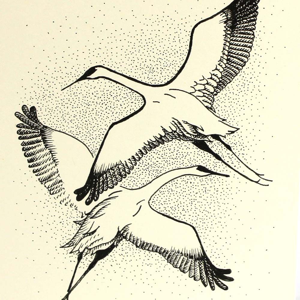 Summer Day Crane Display, card COAE006