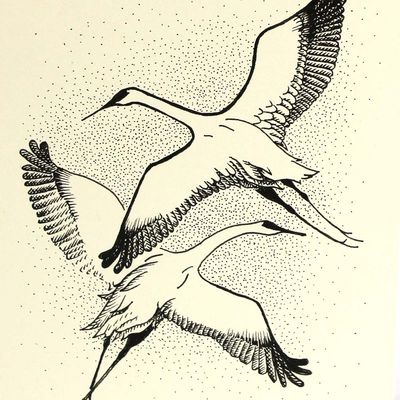 Summer Day Crane Display, card COAE006