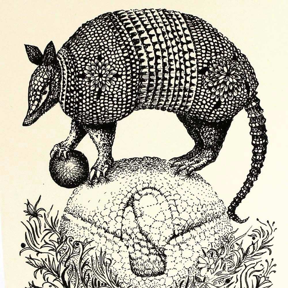 Two Armadillos Having a Ball, card COAE003