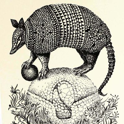 Two Armadillos Having a Ball, card COAE003