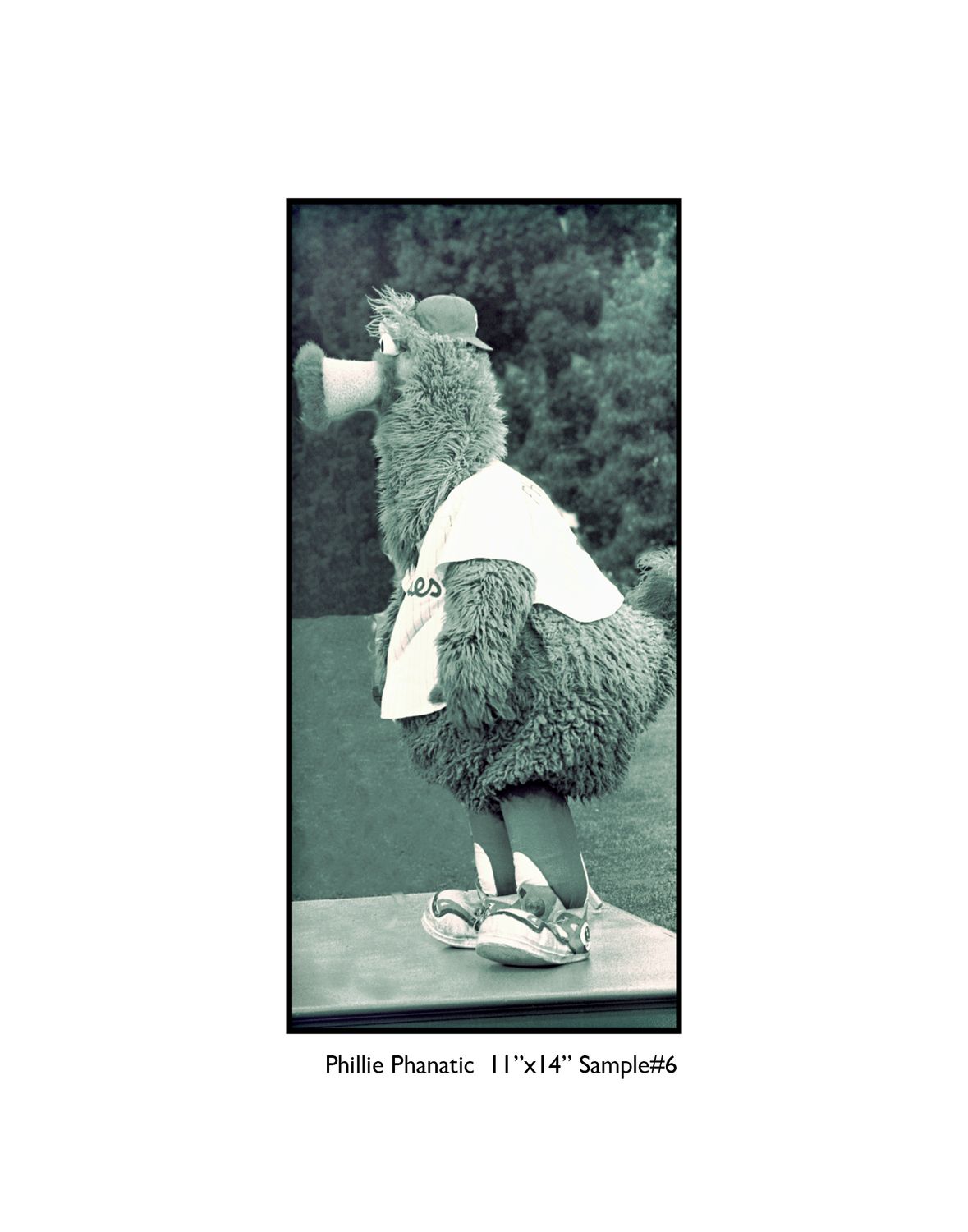 Phillie Phanatic 16, 10x8 photo print WUIL17
