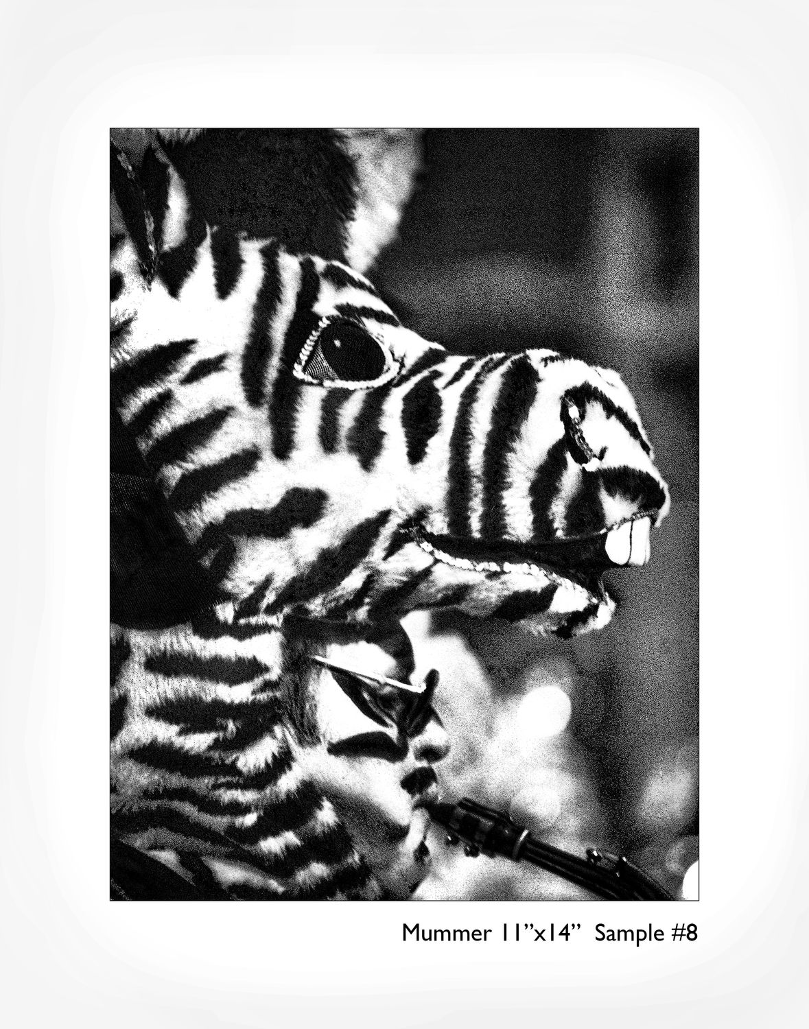 Mummer&#39;s Series 7, 14x11 photo print WUIL08