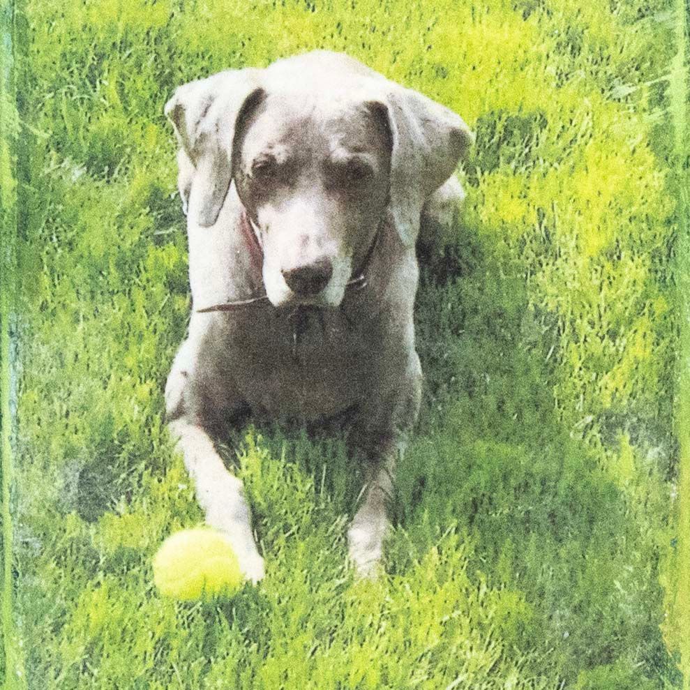 Play Ball, mixed media painting SAND527