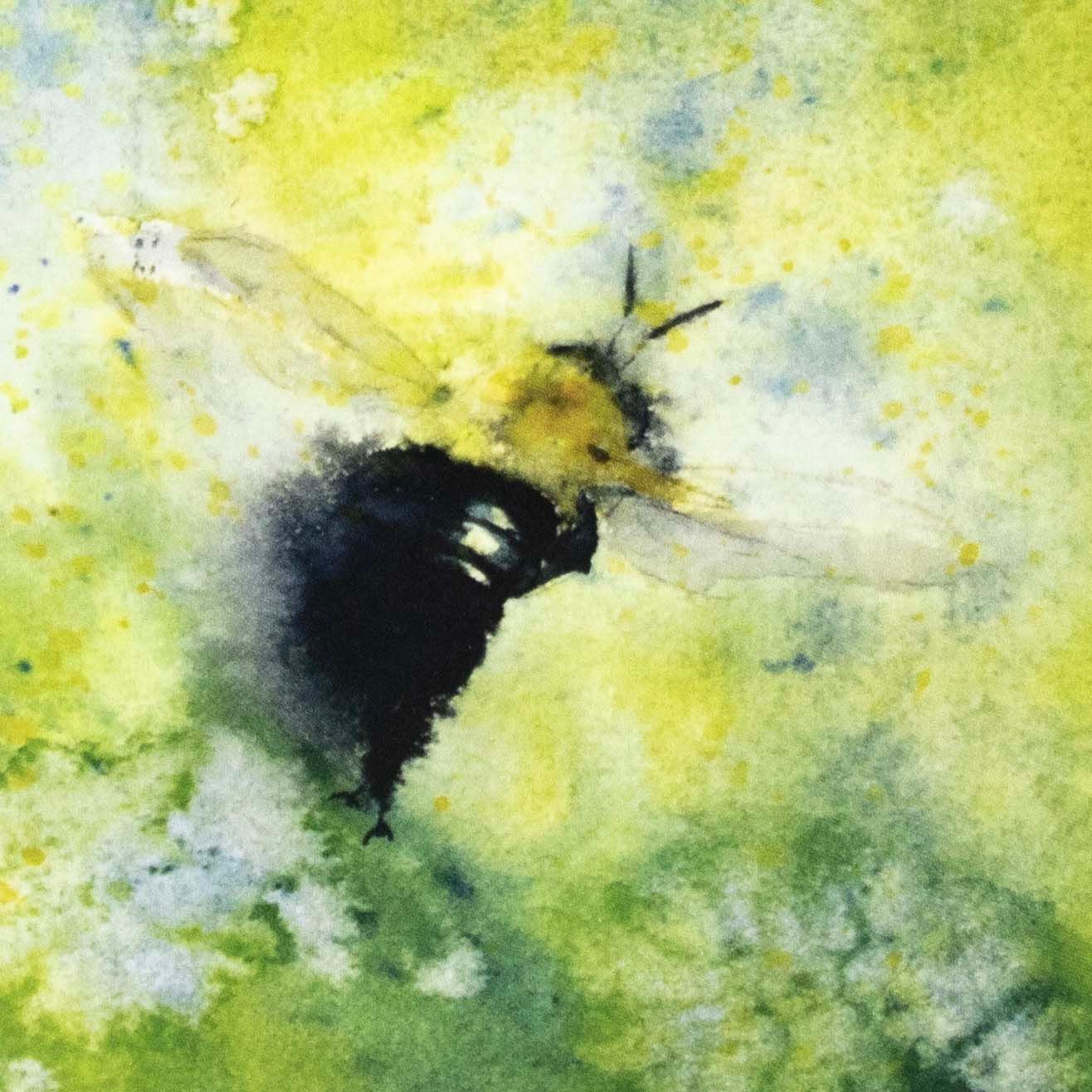 Flying Bee (C66), card KRUP76