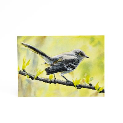 Mockingbird (C68), card KRUP78