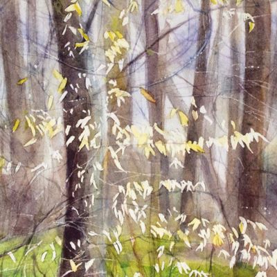 Forest Trees in Early Spring (C69), card KRUP79