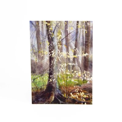 Forest Trees in Early Spring (C69), card KRUP79