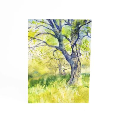 Spring Trees in Field (C70), card KRUP80