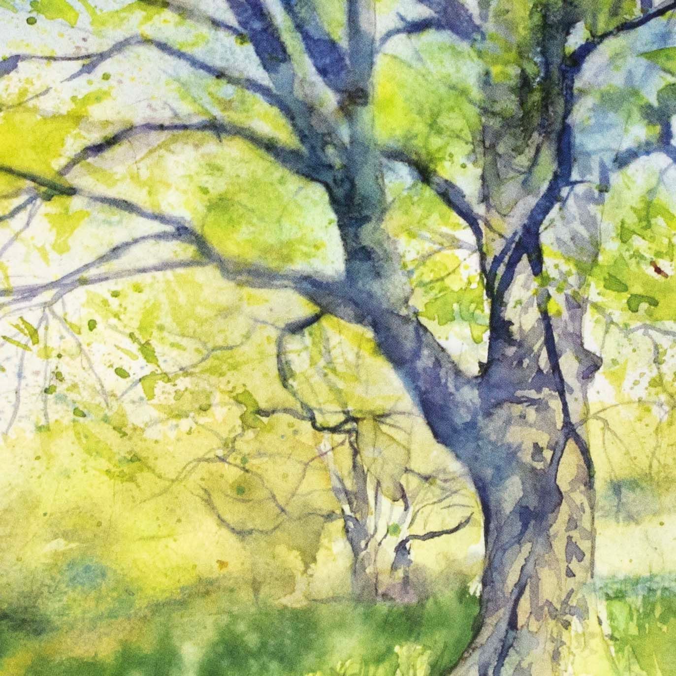 Spring Trees in Field (C70), card KRUP80