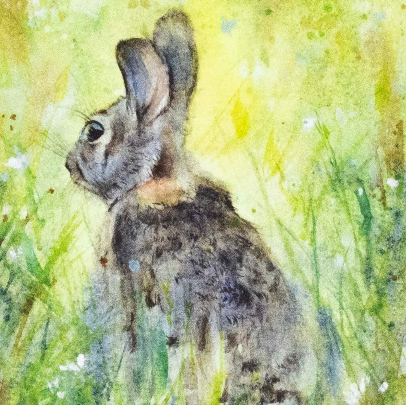 Bunny in Grass (C65), card KRUP75