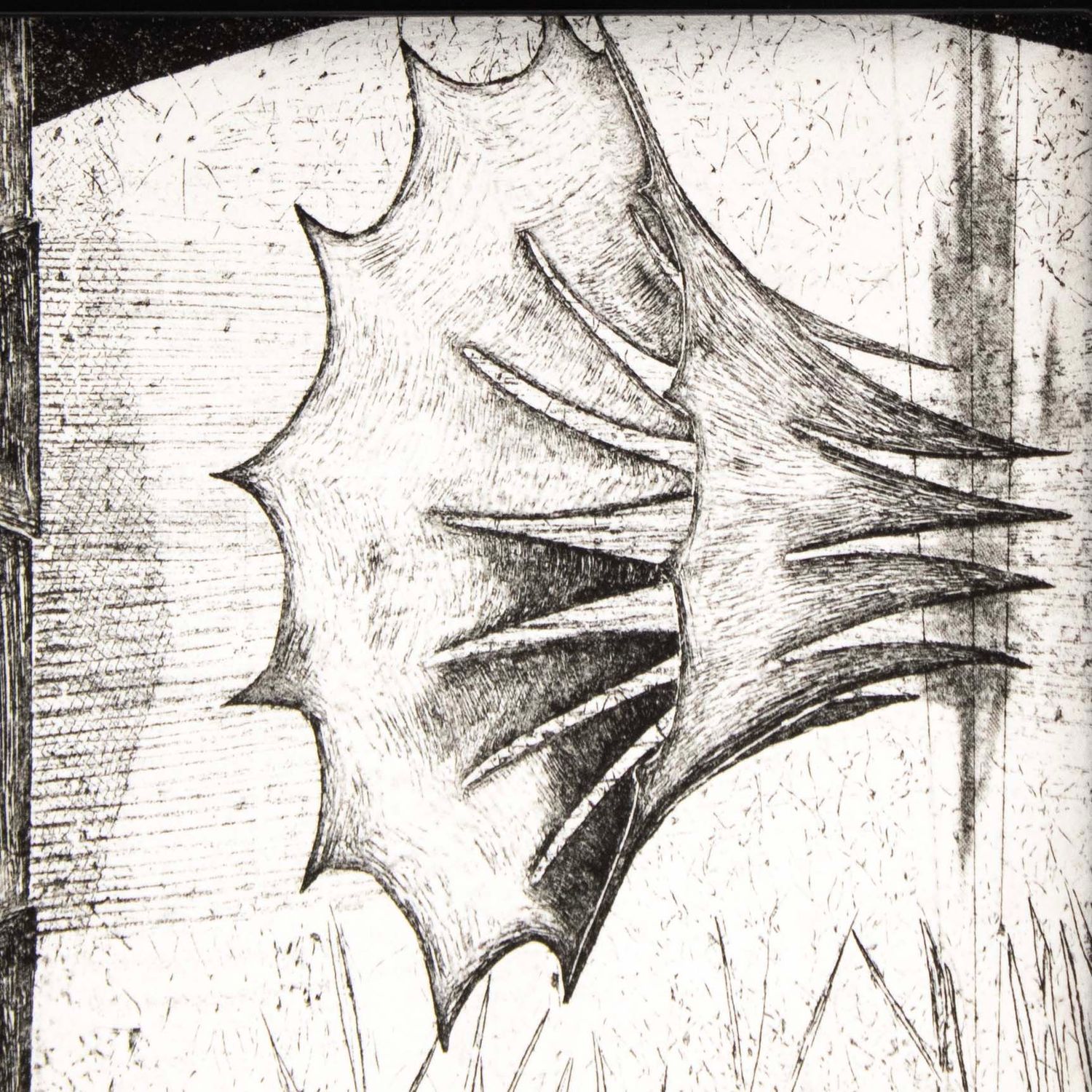 Heirloom in Negative Frame, etching &amp; monotype prints VANK574