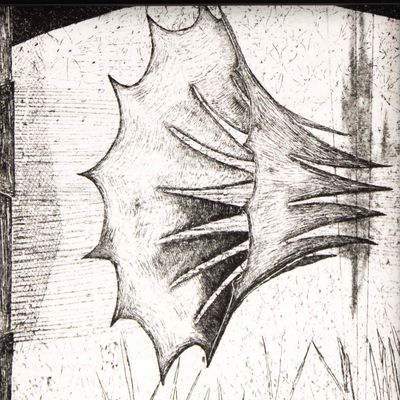 Heirloom in Negative Frame, etching &amp; monotype prints VANK574