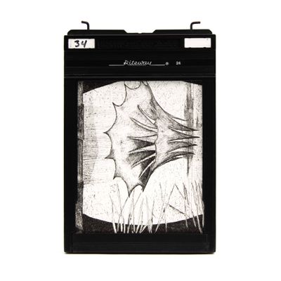 Heirloom in Negative Frame, etching & monotype prints VANK574