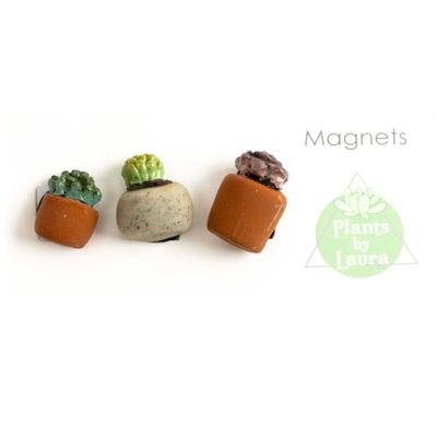 Set of Three Mini Succulents: Rose, magnets MOHL079