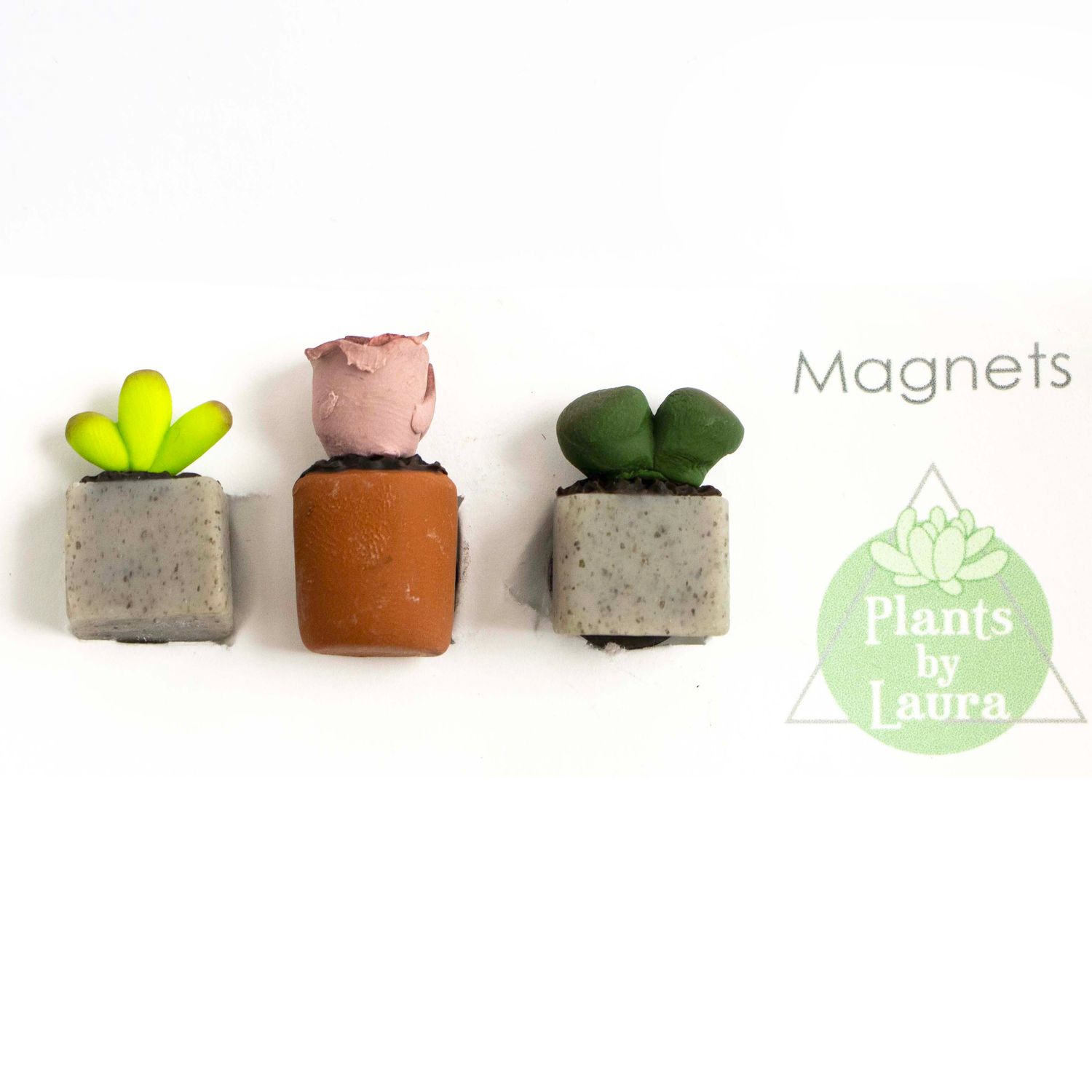Set of Three Mini Succulents: Rose Swirl, magnets MOHL077