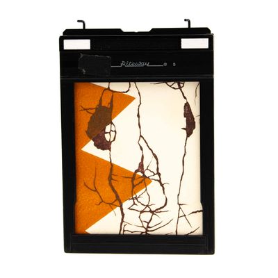 Lines in Negative Frame, etching &amp; monotype prints VANK575