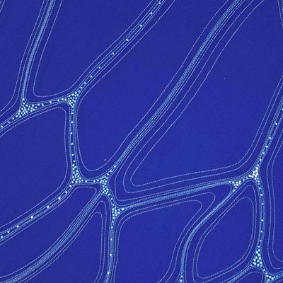 Vesicles Hoop, textile wall art SHER147