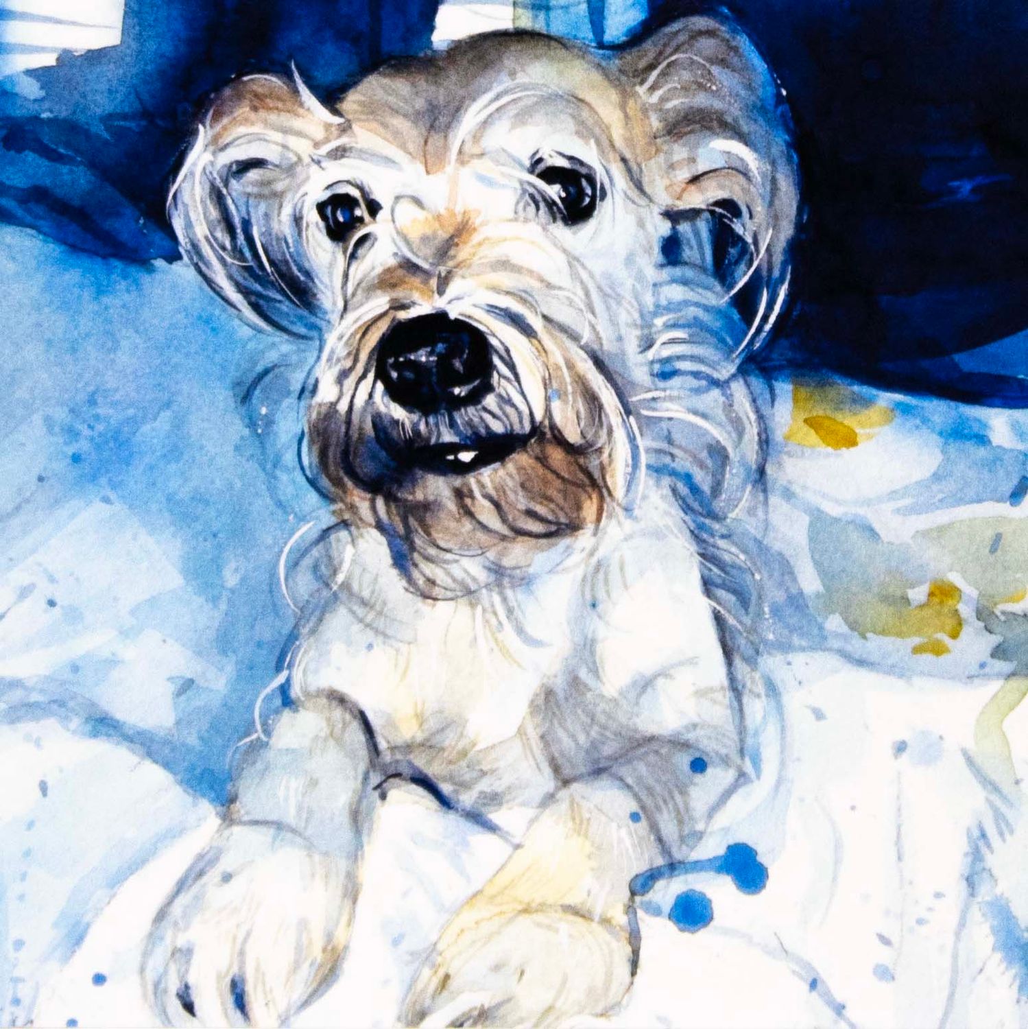 Charlie, card KRUP81