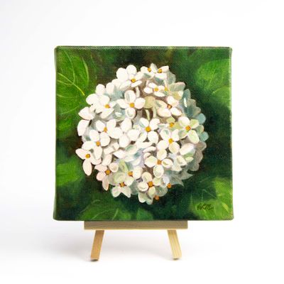 White Hydrangea, oil on canvas MILE157