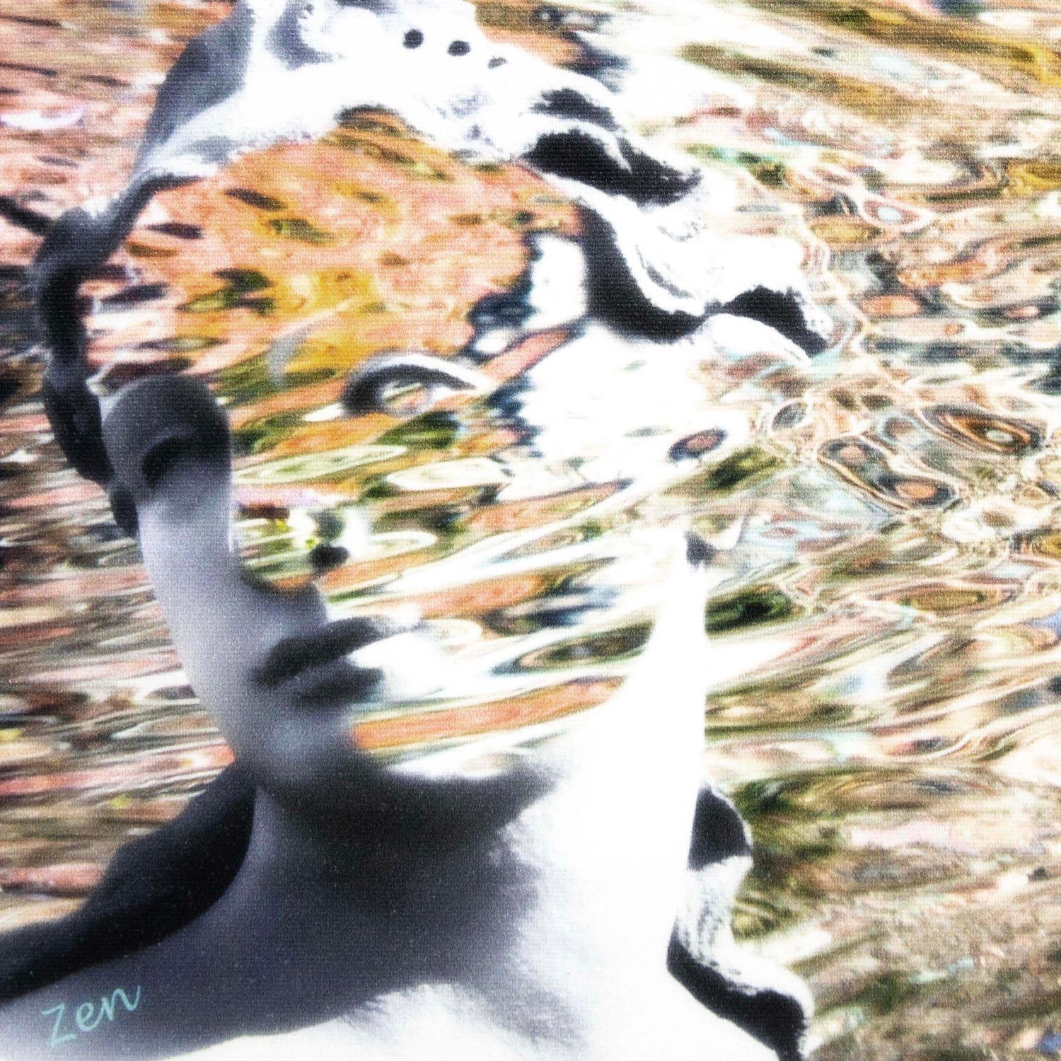 Zen,  photo on canvas WUIL24