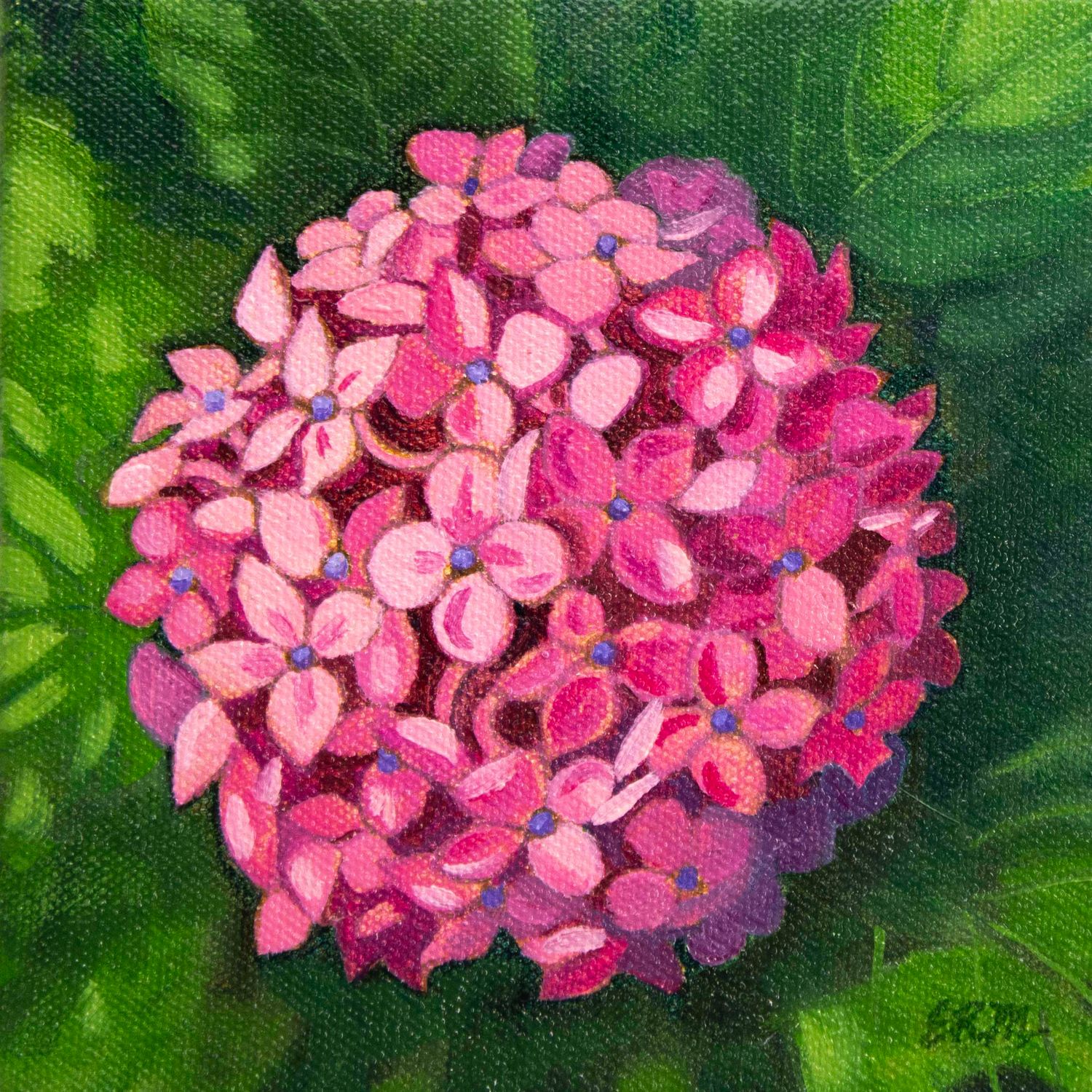 Pink Hydrangea, oil on canvas MILE156