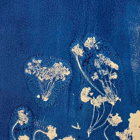 Posey, original gelli print SHAM017