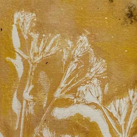 Tender Thoughts, photo print SHAM020