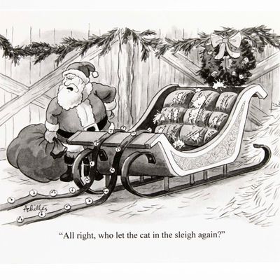 Santa Cat in Sleigh, holiday card ACHP130