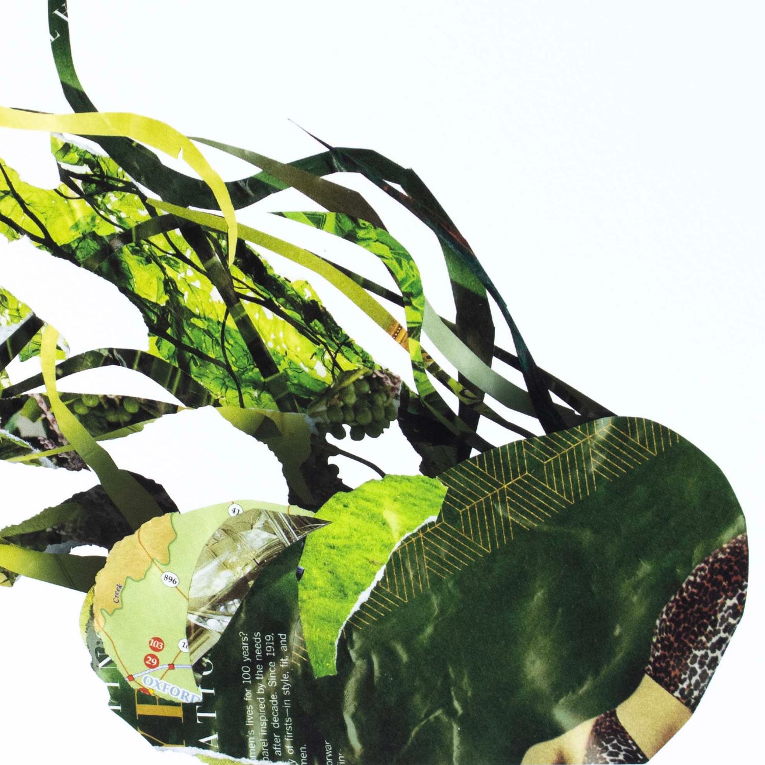 Green Fish, print MOOA08