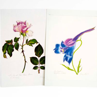 Rose/ Larkspur card set HUGB322