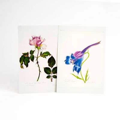 Rose/ Larkspur card set HUGB322