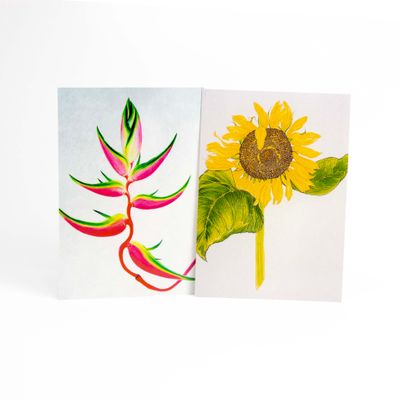 Mammoth Sunflower/ Lobster Claw card set HUGB321