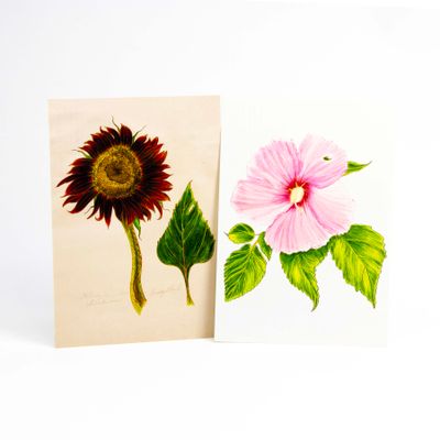 Evening Sun Sunflower/ Hibiscus card set HUGB323