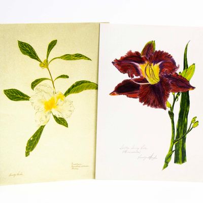 Sultan Sunny Bela/ Franklinia card set HUGB320