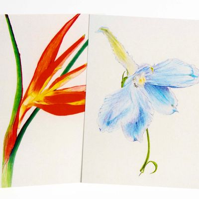 King Arthur Delphinium/ Heliconia card set HUGB317