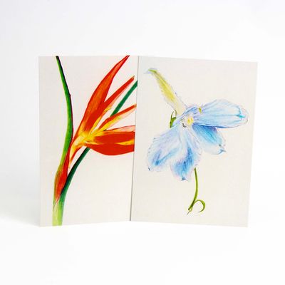King Arthur Delphinium/ Heliconia card set HUGB317