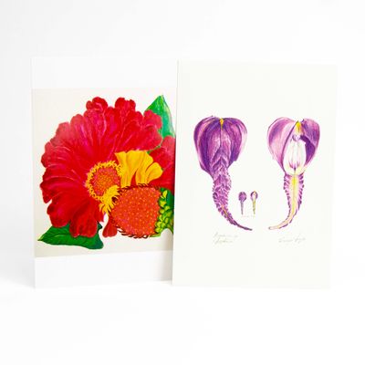 Zinnia/ Delphinium card set HUGB318