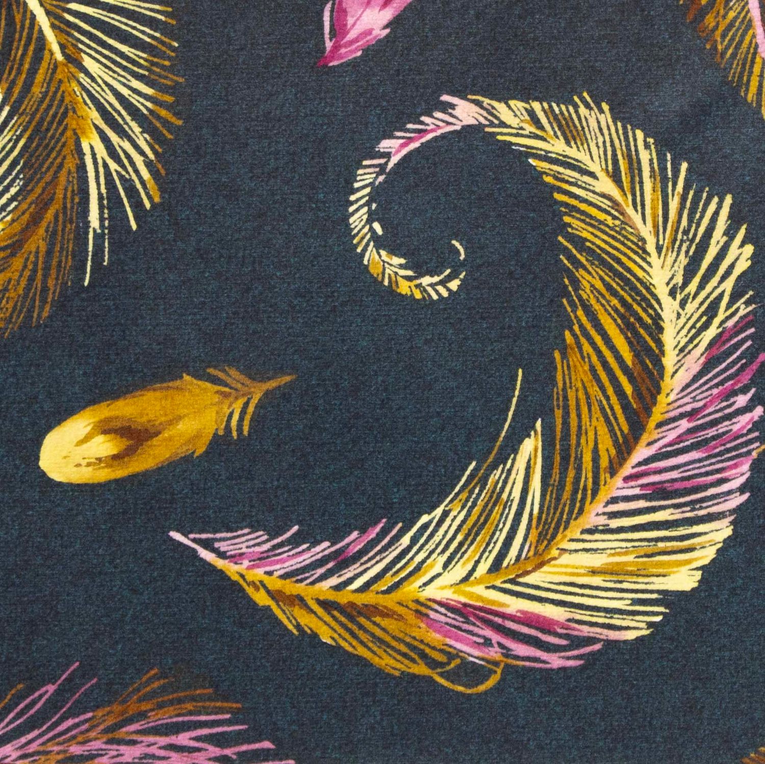 Feathers on Dark Teal, card FOWB124