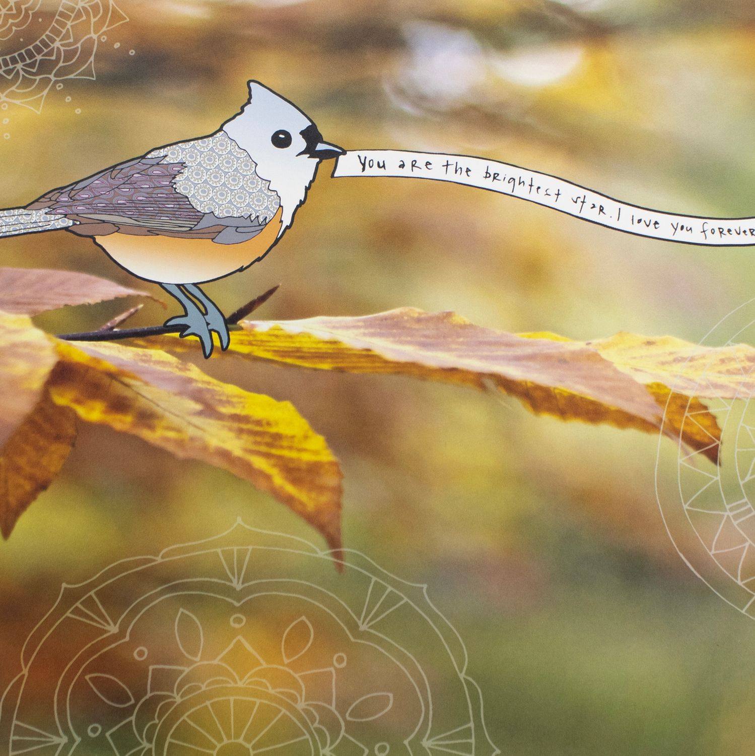 Messages of Love: Brightest Star, large print KELL056