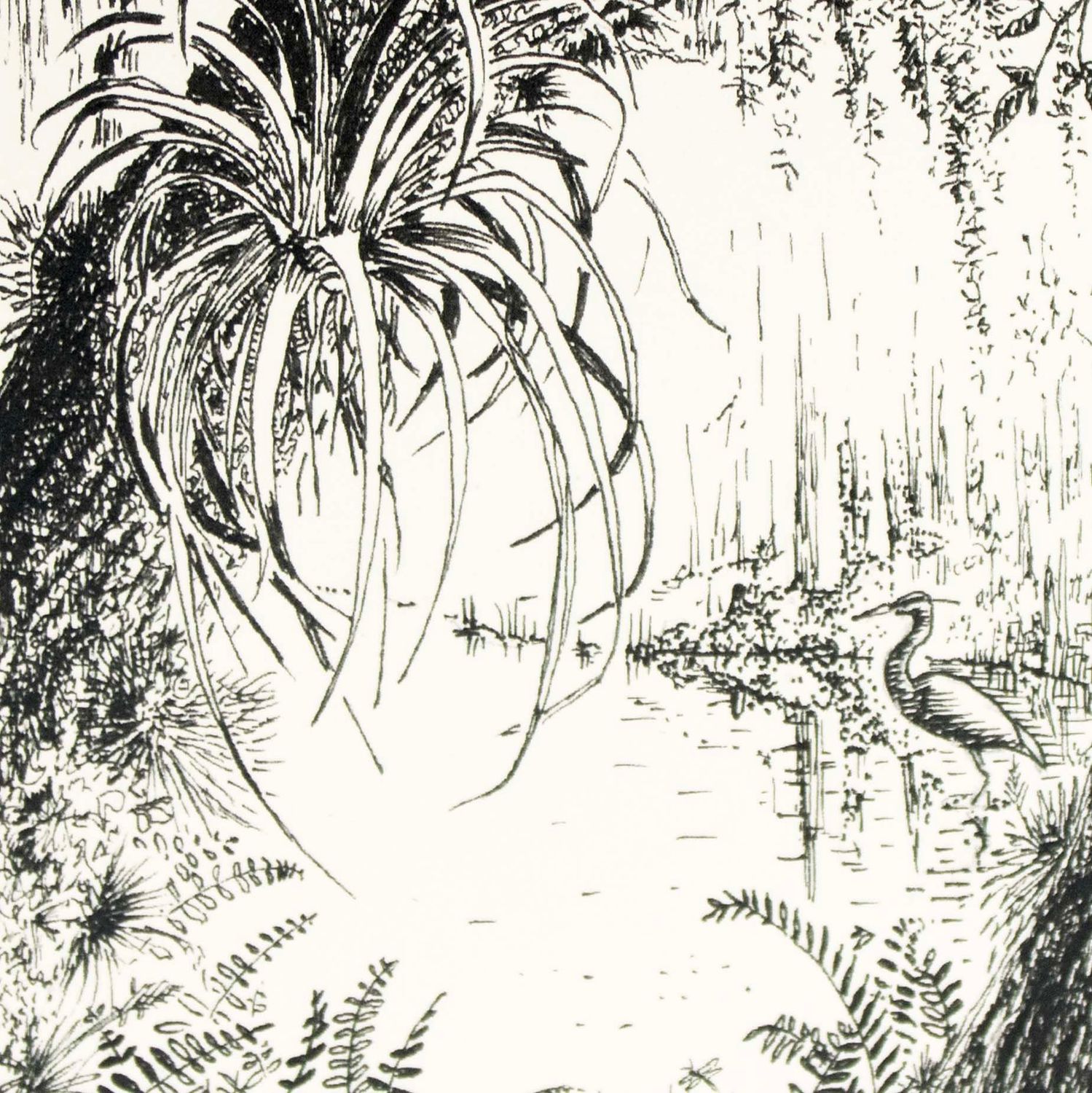 The Swamp Florida Style, card COAE002
